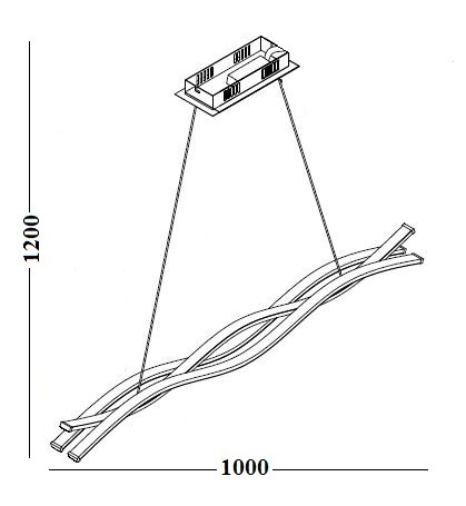 41549.jpg